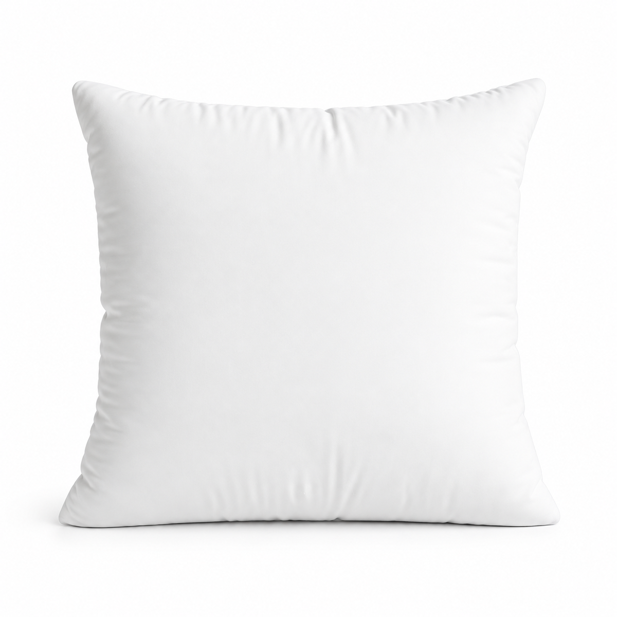 Oreiller 60 x 60 cm plume 1000 g
