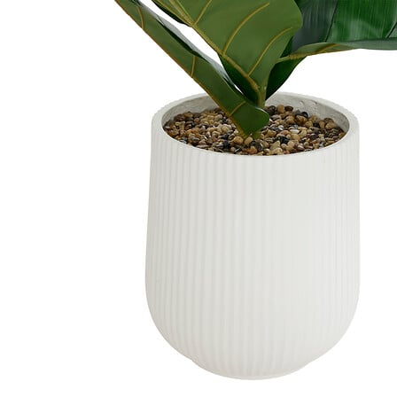 Ficus haut 145 cm pot céramique strié