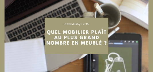 Comment choisir le bon style de mobilier pour séduire le plus grand nombre en emplacement meublé ?
