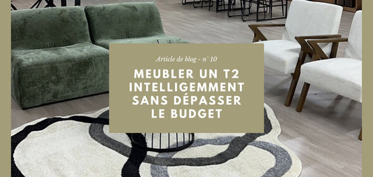 Comment meubler intelligemment un T2 sans exploser le budget