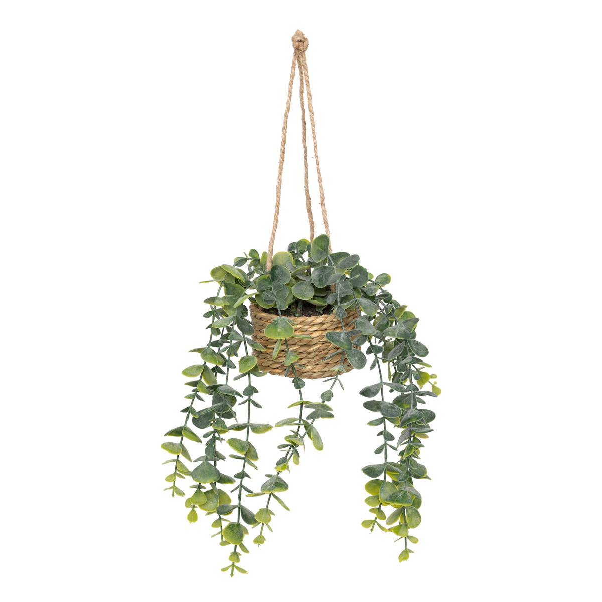 Plante suspendue Patri H. 50 cm avec pot en fibres naturelles assorti