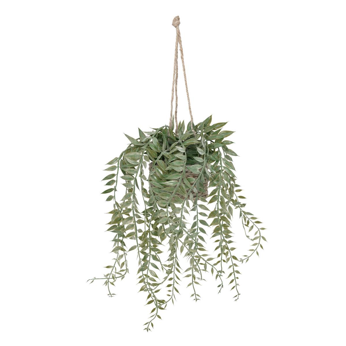 Plante suspendue Patri H. 50 cm avec pot en fibres naturelles assorti