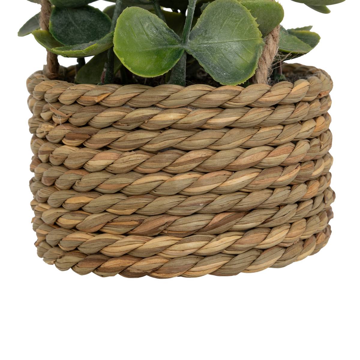 Plante suspendue Patri H. 50 cm avec pot en fibres naturelles assorti