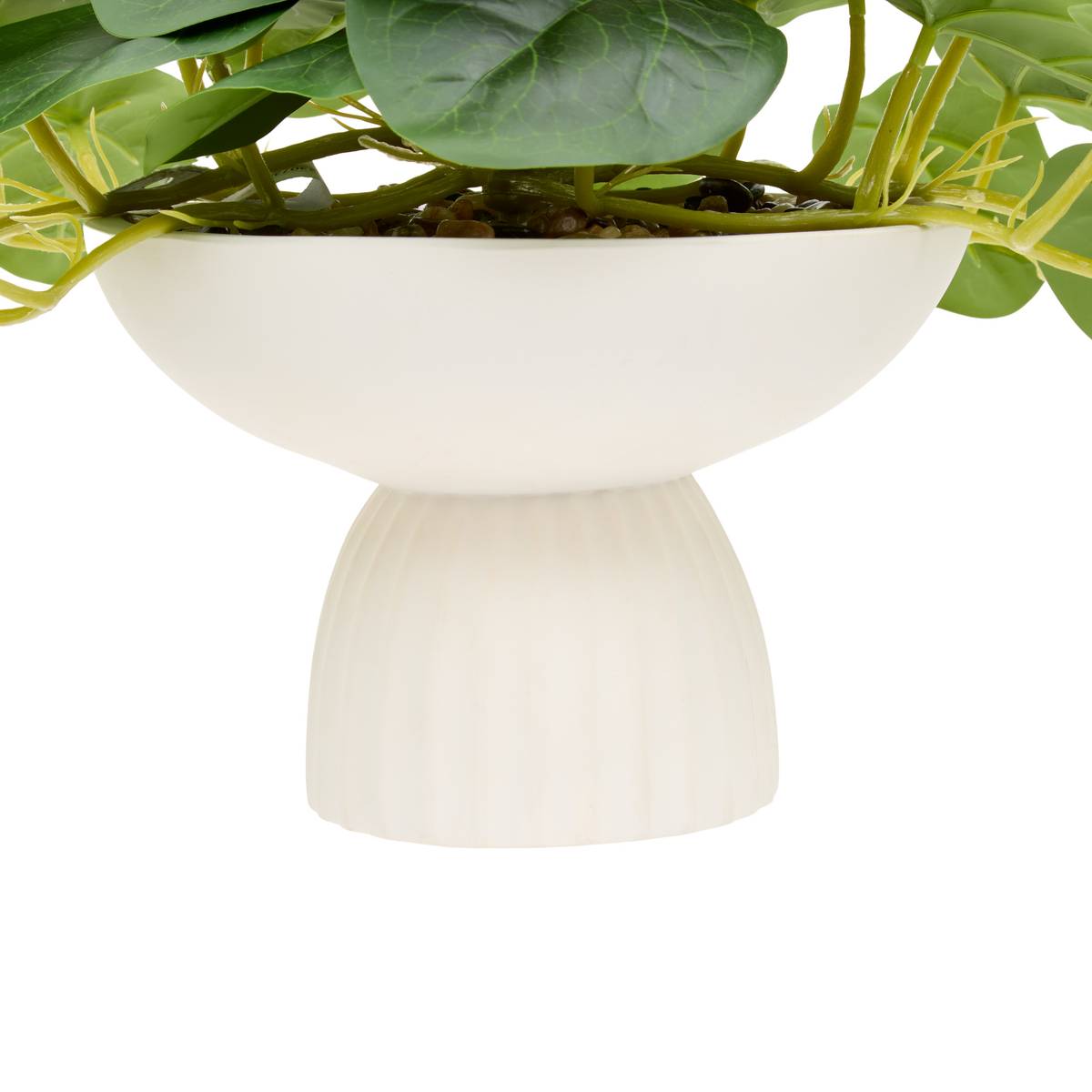 Pilea sur pied Nippo H. 29 cm avec pot céramique blanc