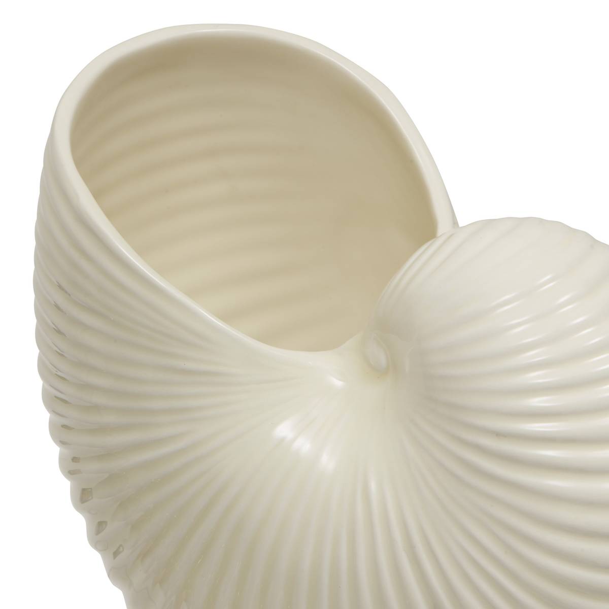 Vase coquillage Océania H. 18 cm céramique blanc