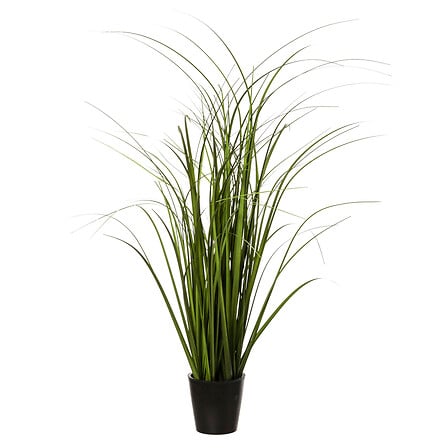 Bunch d'herbe haut 58 cm avec pot plastique