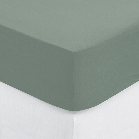Drap housse 2 personnes 160 x 200 cm avec bonnet 30 cm coton céladon