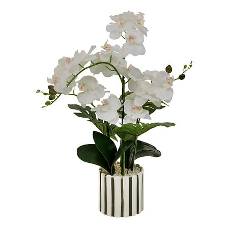 Orchidee artificielle blanche avec pot en ceramique rayures noires et blanches - accessoire decoration pack mobilier LMNP