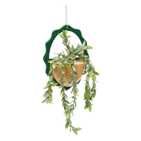 Plante suspendue Chéri haut 40 cm pot céramique assorti