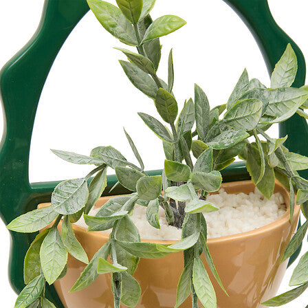 Plante suspendue Chéri haut 40 cm pot céramique assorti