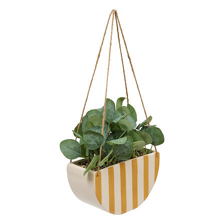 Plante suspendue Chéri haut 27 cm pot céramique assorti
