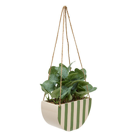 Plante suspendue Chéri haut 27 cm pot céramique assorti