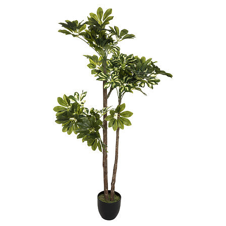 Plante artificielle type schefflera 130cm avec pot noir feuilles vertes - accessoire decoration pack mobilier LMNP