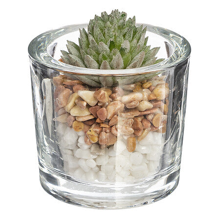 Plante grasse artificielle en pot en verre 10 cm