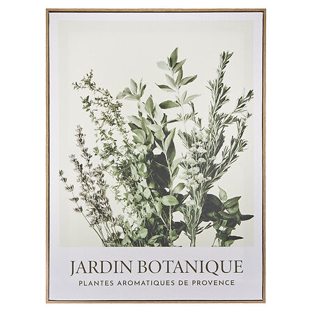 Toile imprimee botanique encadree 45x60cm jardin botanique plantes aromatiques de Provence bouquet herbes vertes - decoration murale pack mobilier LMNP