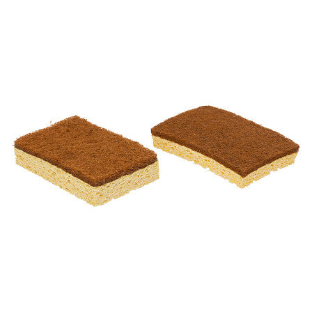 Lot de 2 éponges Blackwood coco