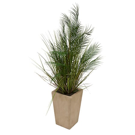 Palmier Wonj haut 142 cm avec pot céramique beige