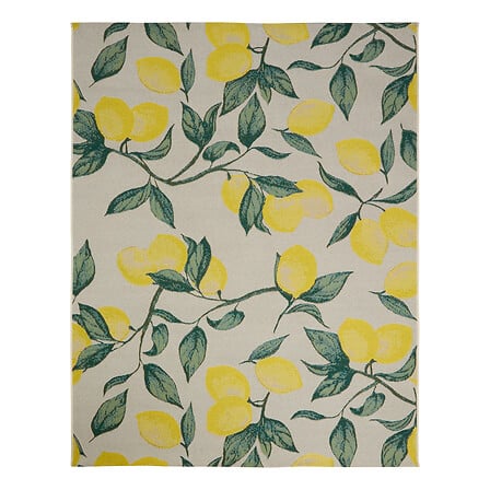 Tapis d'extérieur assorti à la décoration de la résidence Les Compositeurs, idéal pour aménager une terrasse ou un balcon avec élégance et confort.